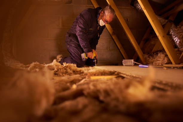 Best Cellulose Insulation in Hazen, ND